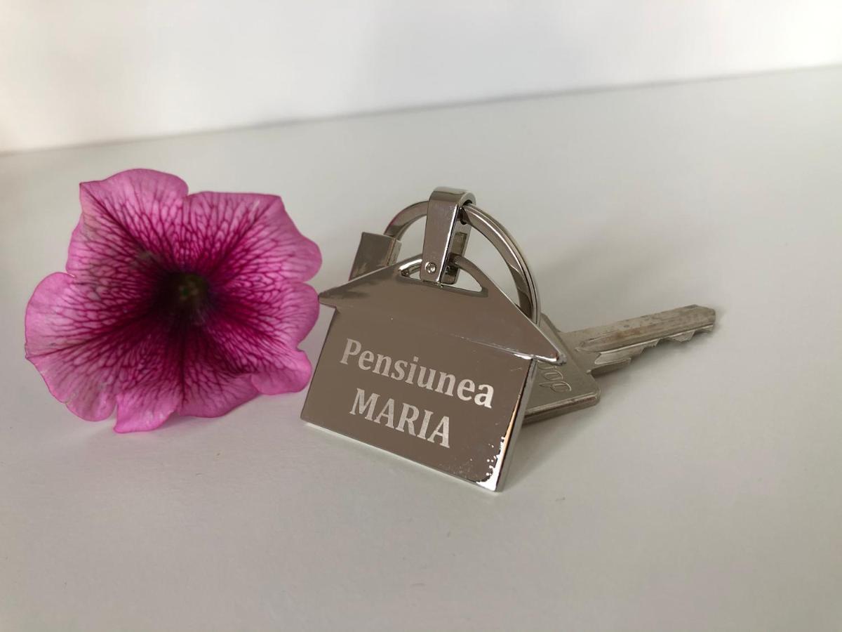 Pensiunea Maria Колибица Экстерьер фото
